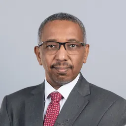 Mohamed Osman Eltahir Babiker