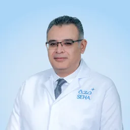 Ahmed Shamseldeen Hassan Aly