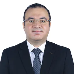 Ahmed Shehata