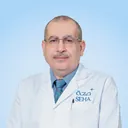 Ashraf Saad Moursi Meligy