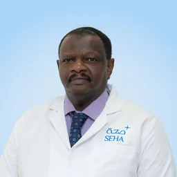 Mansour Babiker Mohammed Elamin