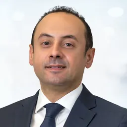 Mohamed Hosni K. Abdelmaksoud