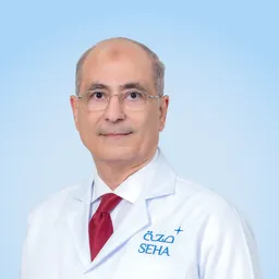Aref Ismail Aref Rizk
