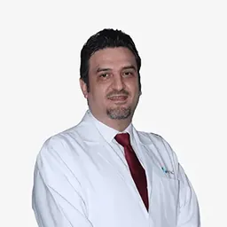 Anas Sheikh Al Basatneh