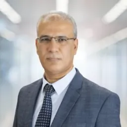 Ayman Hussien Salah El-din