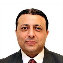 Shady M. Hegazi