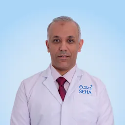 Tamer Fathi Mohammed Ahmed Elhanfi