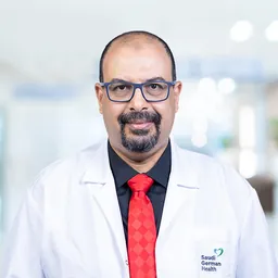 Hisham Elsayed Elbadan
