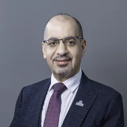 Gamal Youssef Seleem Youssef