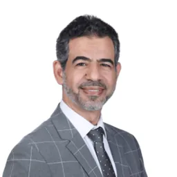 Ali Abdelmaboud Hassan Ali