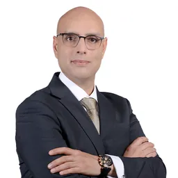 Mohamed Hassan Abbass Hassan Elshamsy