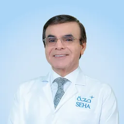 Nazmi Hussein Abdelmajid Alsawalhi