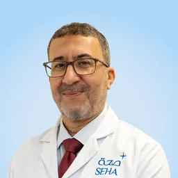 Hesham Hussien Hamza Aly