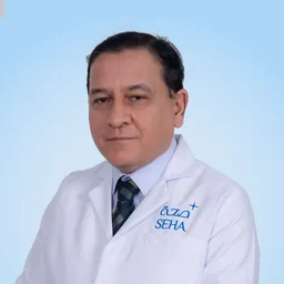 Ahmed Hassan Mohamed Shafei