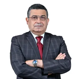 Medhat Ahmed Mohamed Elsayed