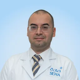 Ahmed Abdehaseeb Abdelkhalek Ali Youssef