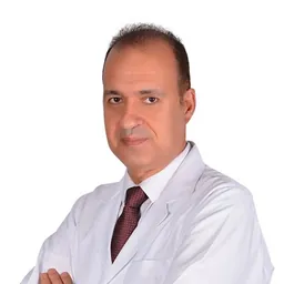 Ahmed Mohamed Abdelaal