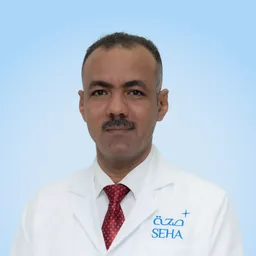 Sidahmed Abbas Alhadi Alhossien