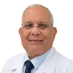 Hussein Abdel Dayem