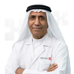 Hassan Ali Mundi