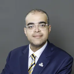 Ahmed Hossameldin Ahmed Awad