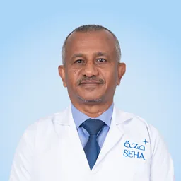 Adel Ahmed El Sheikh
