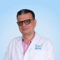 Mohammed Abdelrehman Mohammed Shalaby