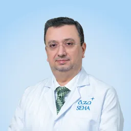 Anas Mohamad Moujib Chabouk