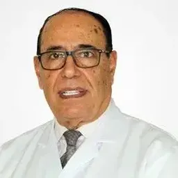 Mohamed Hassan Shehada