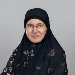 Lizica Itu