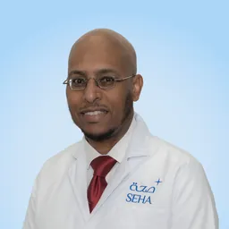 Salah Eldin Hussein Mohamed Hussein