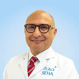 Tarek Ahmed Bahgat El Ansari